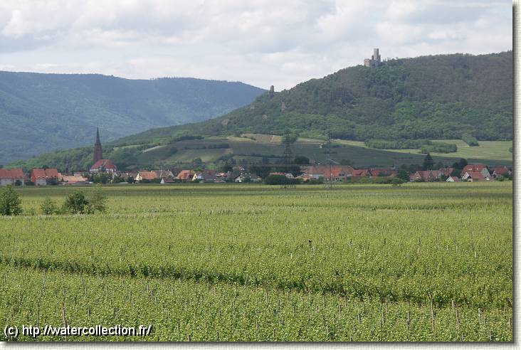 Diapositive suivante